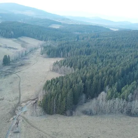 Villa Panorama Lipno S Rosie Horni Plana